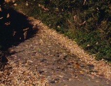 cobble